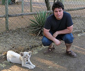 Cub interactions at the Lion and Safari Park Borisgorelik.jpg