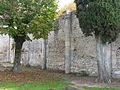Français : Mur intérieur, ancien prieuré de Bouteville, Charente, France