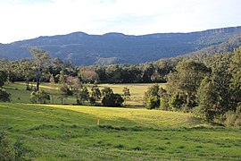 Broughton Vale ، نیو ساوت ولز ، escarpment 1.jpg