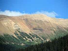 Burgess Shale makalesinin açıklayıcı görüntüsü