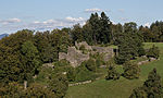 Ruine Alt-Wädenswil