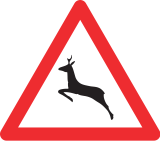 Что означает знак оленя. Дорожный знак олень. Знак Дикие животные. Знак животные на дороге. Предупреждающие дорожные знаки олени.