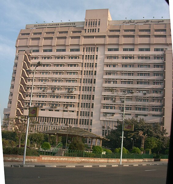 File:Cairo Univ - National Cancer Institute.jpg