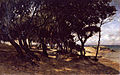 Arbres au bord de la mer à Noirmoutier (tableau de Camille Bernier)