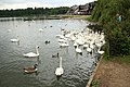 Campbell Park, UK - panoramio (5).jpg