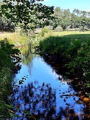 Ruisseau de Tirelagüe