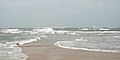 English: Confusing wave patterns at the beach at Cape Lookout point at Core Banks, North Carolina. Waves are comming from two directions.