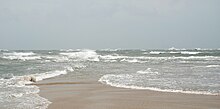 Cape Lookout Point - 2013-06 - 09.JPG