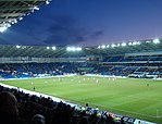 Cardiff City Stadium Pitch (cropped).jpg