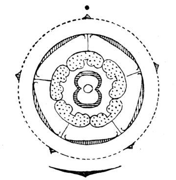 File:Carduus flowerdiagram.png