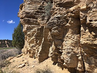 Encrinite within the Carmel Formation (Middle Jurassic) exposed at Mt. Carmel Junction, Utah. This is one of the youngest encrinites. Carmel Fm encrinite Middle Jurassic.jpg