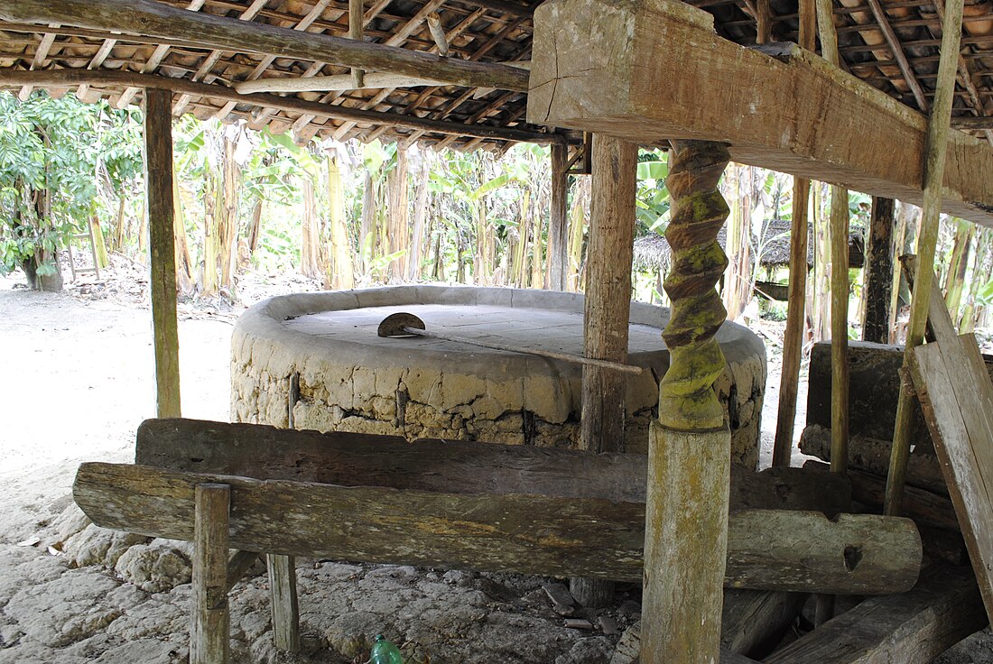 Fabricação de farinha de mandioca