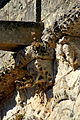 Champagnolles Church Apside Modillon 2.JPG