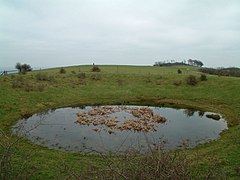 Chanctonbury Dew Pond.jpg