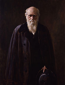 Трехчетвертный портрет старшего Дарвина, одетого в черное, на черном фоне. Его лицо и шестидюймовая белая борода драматично освещены сбоку. Его глаза затемнены бровями и смотрят прямо и задумчиво на зрителя. 