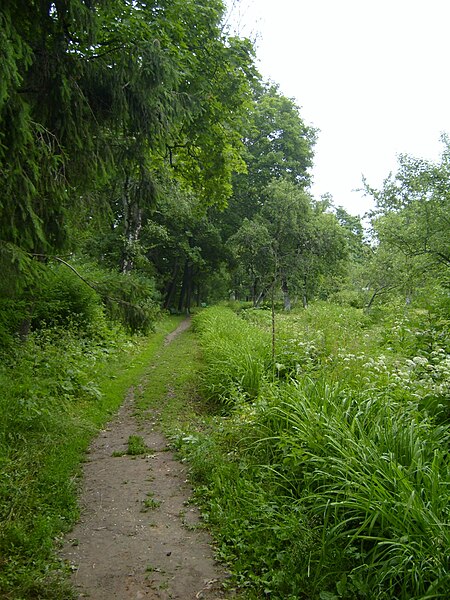 File:Chekhov Garden Melikhovo.jpg