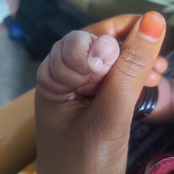 File:Child baby hand.jpg