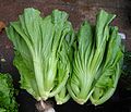 Chinese vegetable 026.jpg