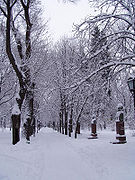 シュテファン・チェル・マレ公園の雪景色