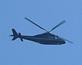 Chopper (25531639).jpg