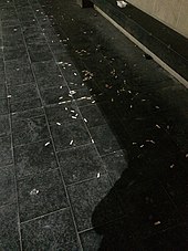 An example of cigarette butts littering in a smoke-free area. Image captured in a university campus. Cigarette butts in a smoke-free area.jpg