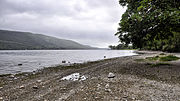 Miniatuur voor Coniston Water