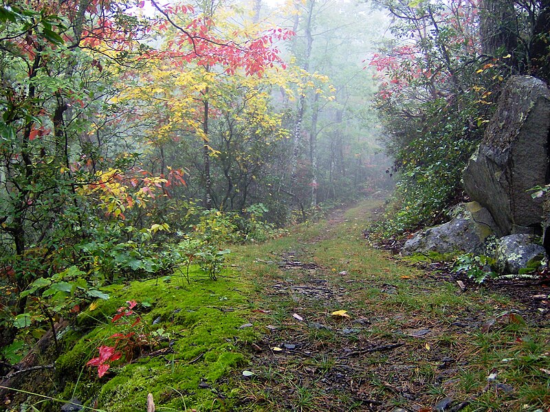 File:Cove-mtn-trail-tn1.jpg