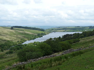 <span class="mw-page-title-main">Crai Reservoir</span> Reservoir in Wales