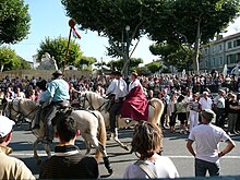 Démonstration d'équitation camarguaise.jpg