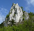 Protected area in Pálava region