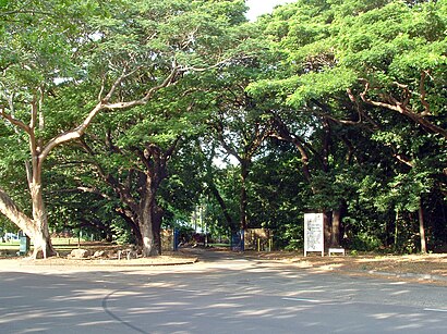 How to get to Darwin Botanic Gardens with public transport- About the place