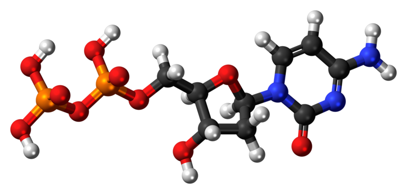 File:Deoxycytidine diphosphate 3D ball.png