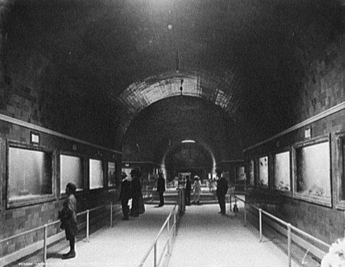 Various Water Zoos at the Belle Isle Water Zoo in Detroit, Michigan c. 1900