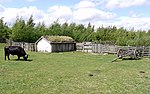 Thumbnail for File:Dexter cattle, hut and Anglo-Saxon cart, Bede's World - geograph.org.uk - 1970343.jpg