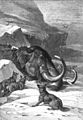 File:Die Gartenlaube (1899) b 0409.jpg (S) Mammut im Eise, von Wölfen entdeckt Nach einer Originalzeichnung von F. Specht