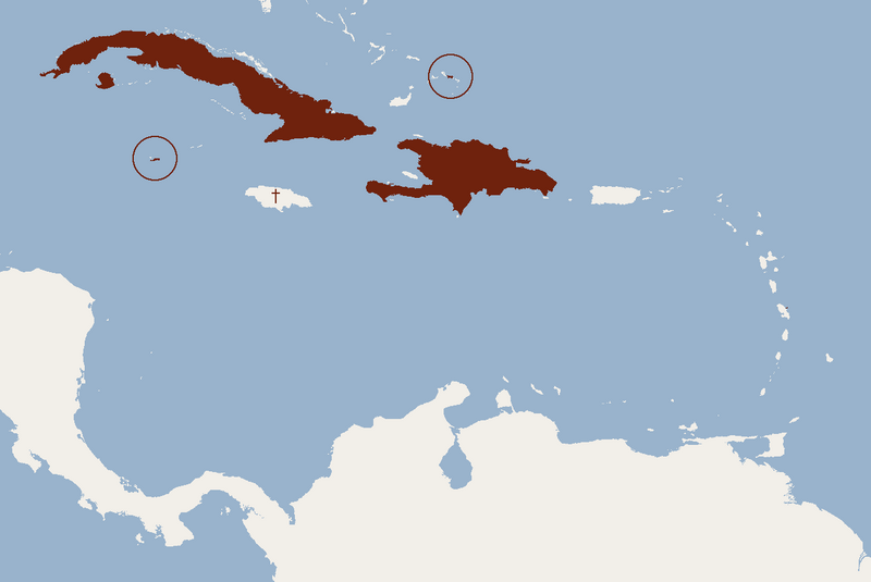 File:Distribution of Brachyphylla nana.png