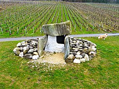 Der rekonstruierte und gegenüber der ursprünglichen Position leicht verschobene Dolmen von Praz Berthoud