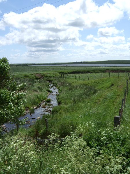 File:Downstream Burn of Auckhorn - geograph.org.uk - 479326.jpg