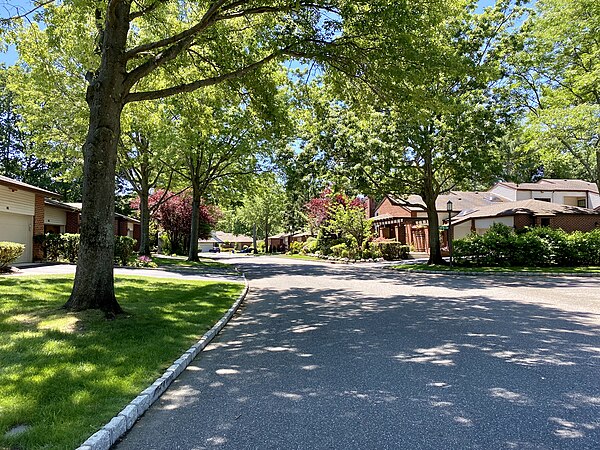 Duck Pond Drive in the Estates II subdivision, which is an example of a gated condominium development allowed under the 20th Century rezoning plans.