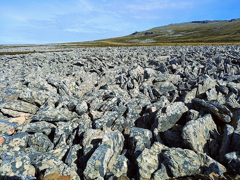 File:East Falkland - Stone Run.jpg