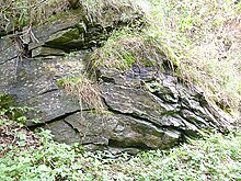 A slumping feature in an outcrop of the East Kirkton Limestone East Kirkton Quarry - geograph.org.uk - 3670287.jpg