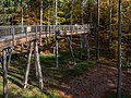 * Nomination Treetop path Steigerwald near Ebrach --Ermell 07:19, 10 February 2018 (UTC) * Promotion Good quality. --Poco a poco 08:07, 10 February 2018 (UTC)