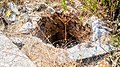 Neolithic water well Einot Nisanit near moshav HaYogev, Israel