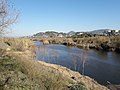 El Llobregat entre Pallejà i Molins de Rei - 20220130 113349.jpg