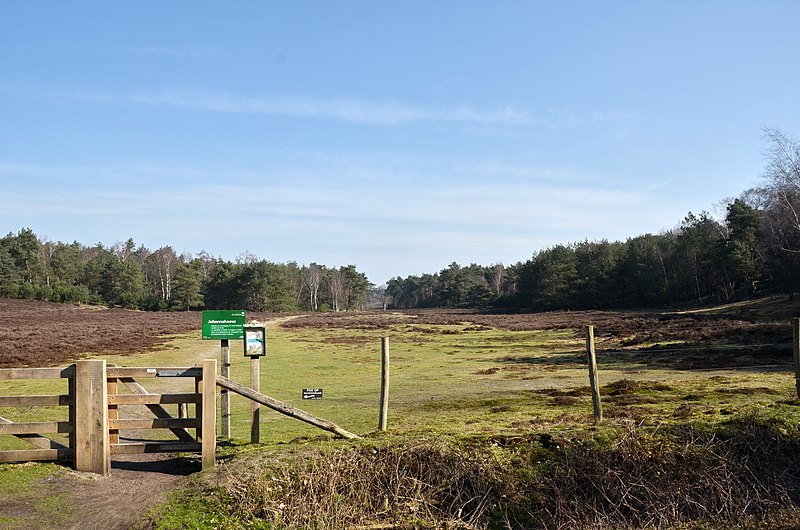 File:Entrance at heatherfields Johanna Hoeve Wolfheze - panoramio.jpg