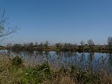 Català: El Remolar-Filipines o Pas de les Vaques (Baix Llobregat) (El Prat de Llobregat, Sant Boi de Llobregat, Viladecans). Desembocadures històriques de rius i rieres. This is a a photo of a wetland in Catalonia, Spain, with id: IZHC-08001104 Object location 41° 17′ 02.4″ N, 2° 03′ 54″ E  View all coordinates using: OpenStreetMap