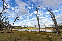 Eungella Dam, Queensland. (51287819386).jpg