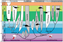 Evolution of dinosaurs EN.svg