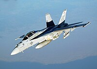 FA-18 Hornet VFA-41.jpg 