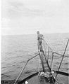 F E Gurley, a commercial fisherman, looking for a school of fish from the bow of a ship, Bikini Atoll, 1947 (DONALDSON 213).jpeg